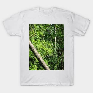 Greenbelt Fall Near the City T-Shirt